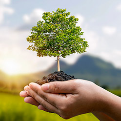 Temel Çevre Eğitimi