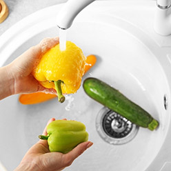 Temel Gıda Güvenliği Eğitimi