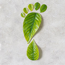 Sürdürülebilirlik Eğitimi